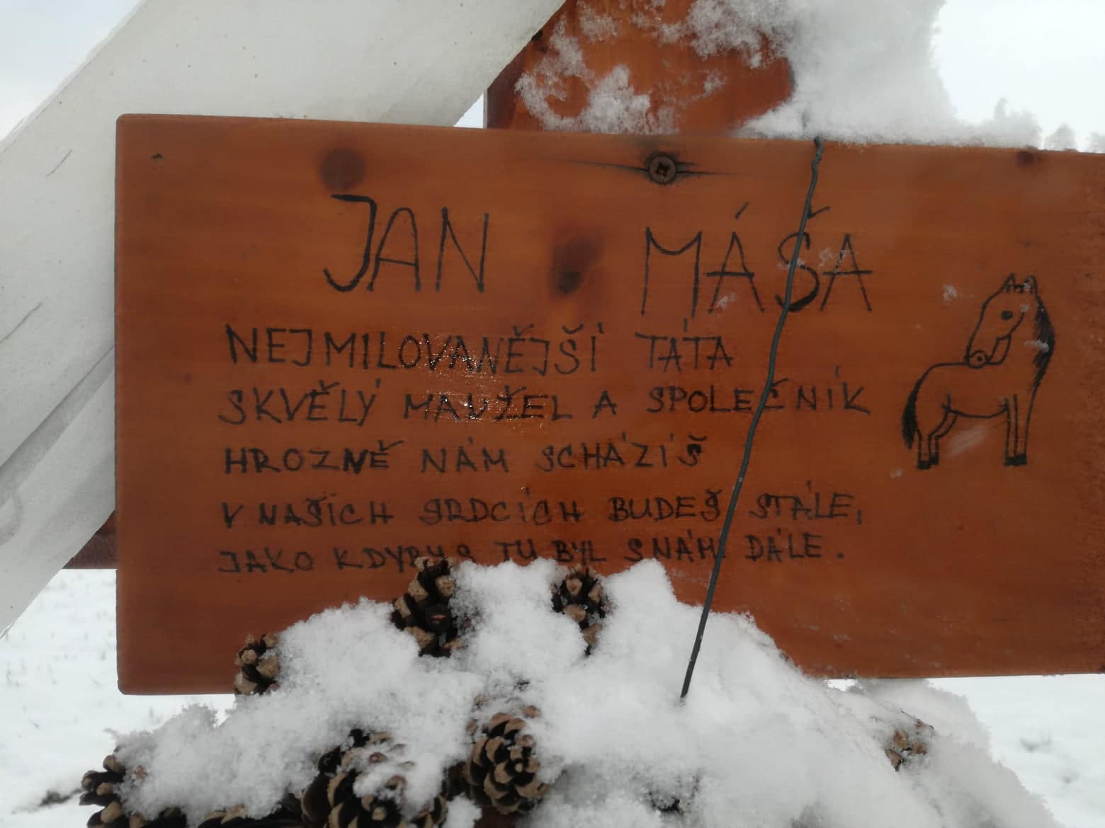 Obrázek #7 z 8