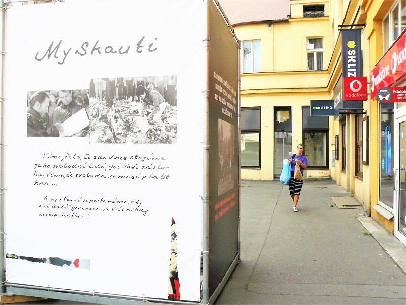 Obrázek #8 z 14