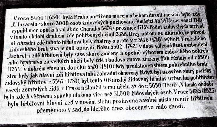 Obrázek #5 z 9