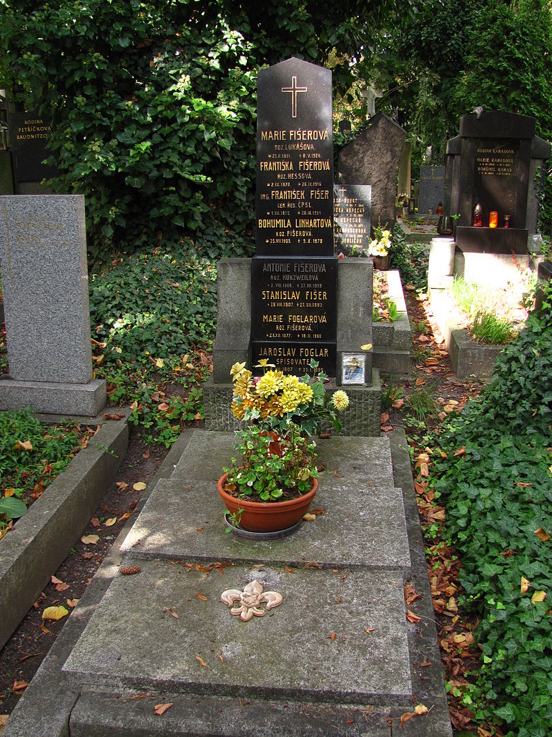 Obrázek #5 z 7