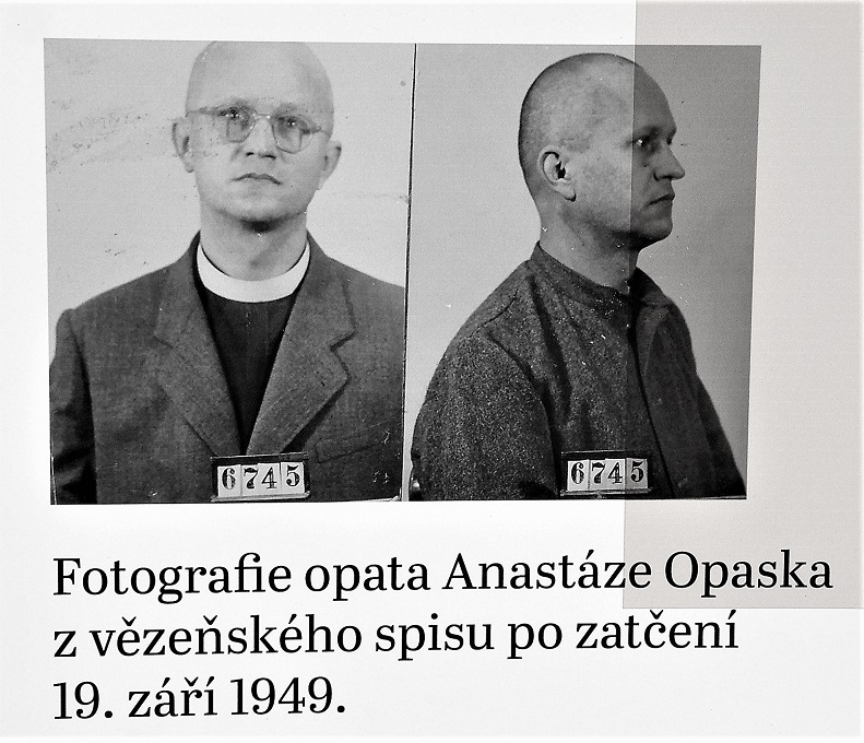 Obrázek #8 z 13