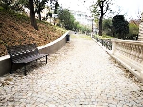 Obrázek #5 z 6