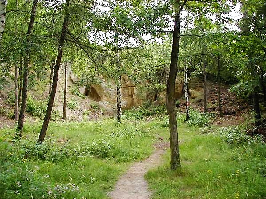 Obrázek #5 z 7