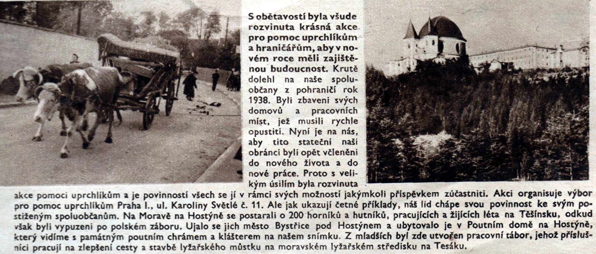 Obrázek #8 z 18