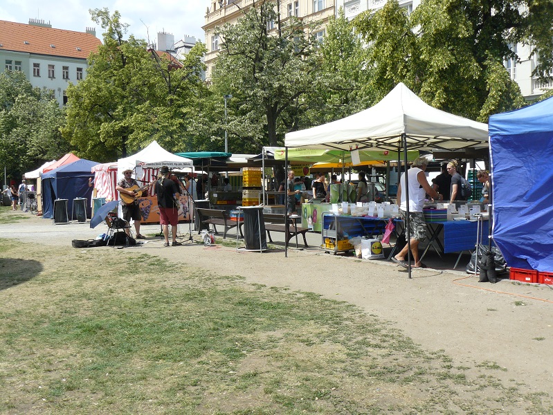 Obrázek #5 z 8