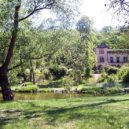 Stromy v Královské oboře - 5 Stromovka, Šlechtovka s rybníkem