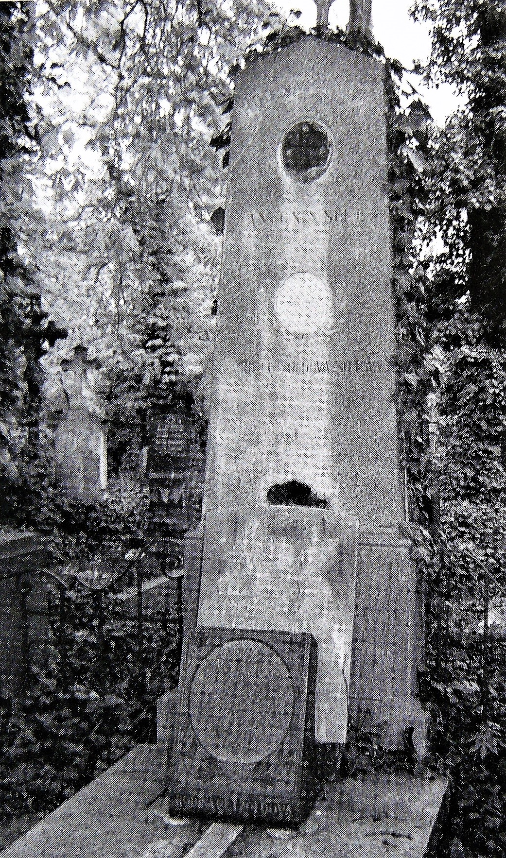Obrázek #8 z 8