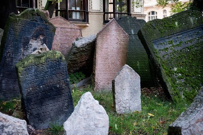 Obrázek #5 z 6