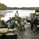 Podzimní výlov rybníků - 5 ryba