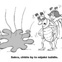 SORRY říjen 2018 - 5 steska vtip – chrobáci – Sakra chtělo by to nějaké tužidlo úprava