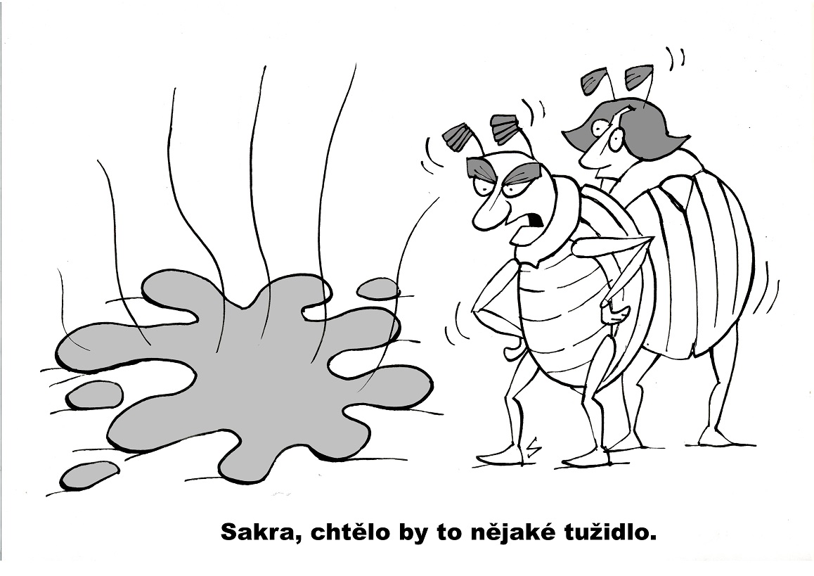 Obrázek #5 z 7