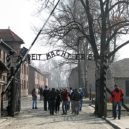 Terezínský rodinný tábor - 5 trhovokamenický památník