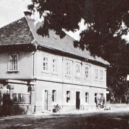 Řepy krásné… - 5 řřřřř