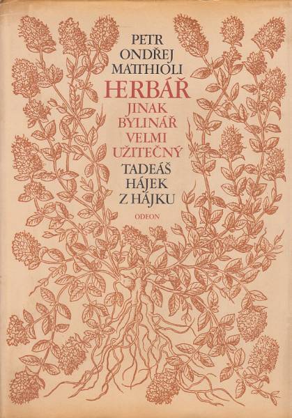 Obrázek #2 z 6