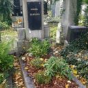 Malvazinecký hřbitov - cof