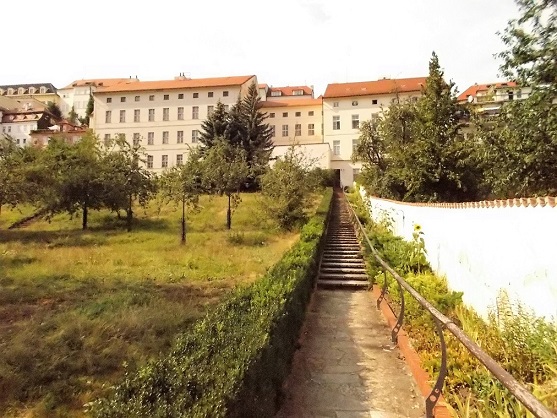 Obrázek #9 z 10