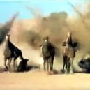 Jak Britové dobyli Tibet - 6 – Boj u průsmyku Chumik Shenko – masakr – youtube