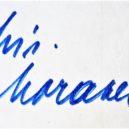 Miroslav Moravec - 6 DSC07329