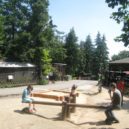 V zookoutku Malá Chuchle - 6 HLM P