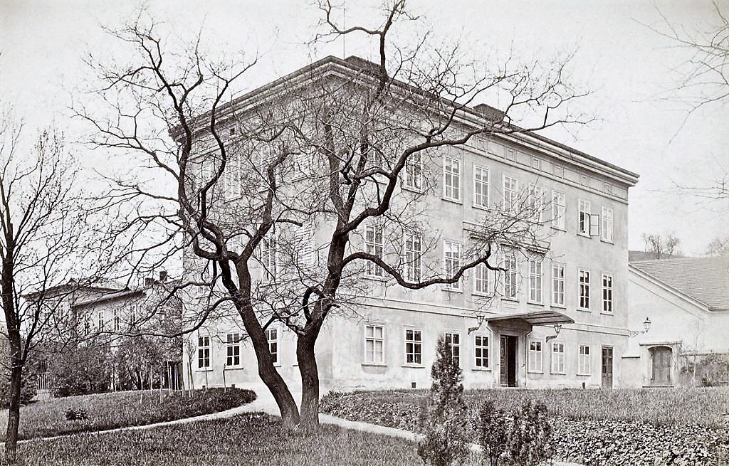 Obrázek #7 z 12