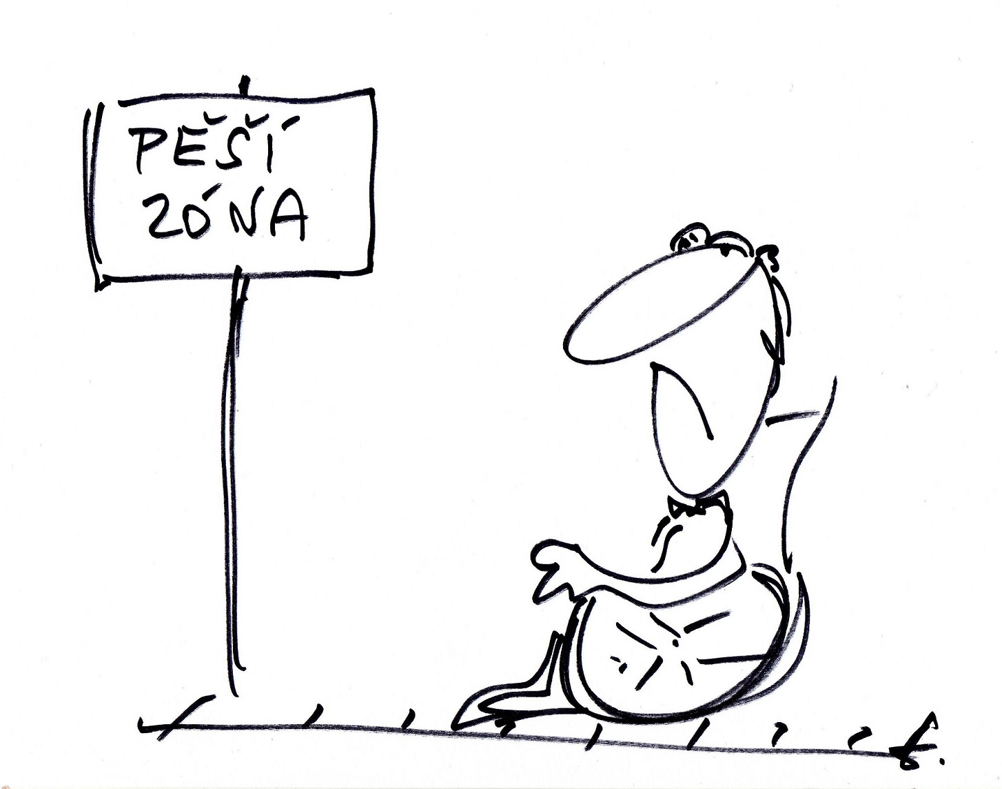 Obrázek #8 z 13