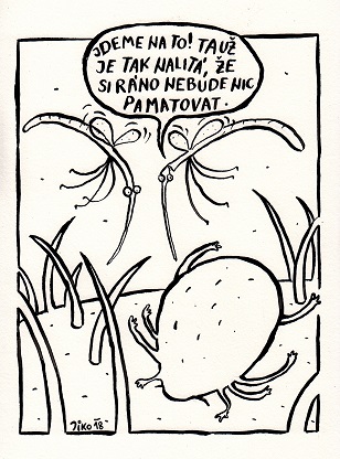 Obrázek #6 z 7