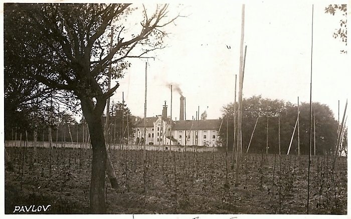 Obrázek #7 z 13
