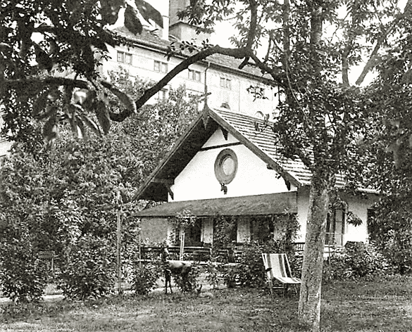 Obrázek #5 z 7