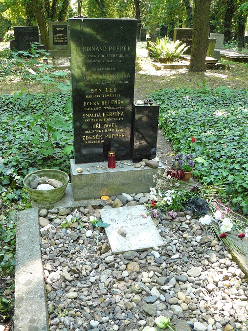 Obrázek #8 z 13