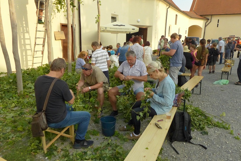 Obrázek #7 z 10