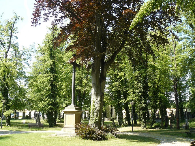 Obrázek #11 z 13