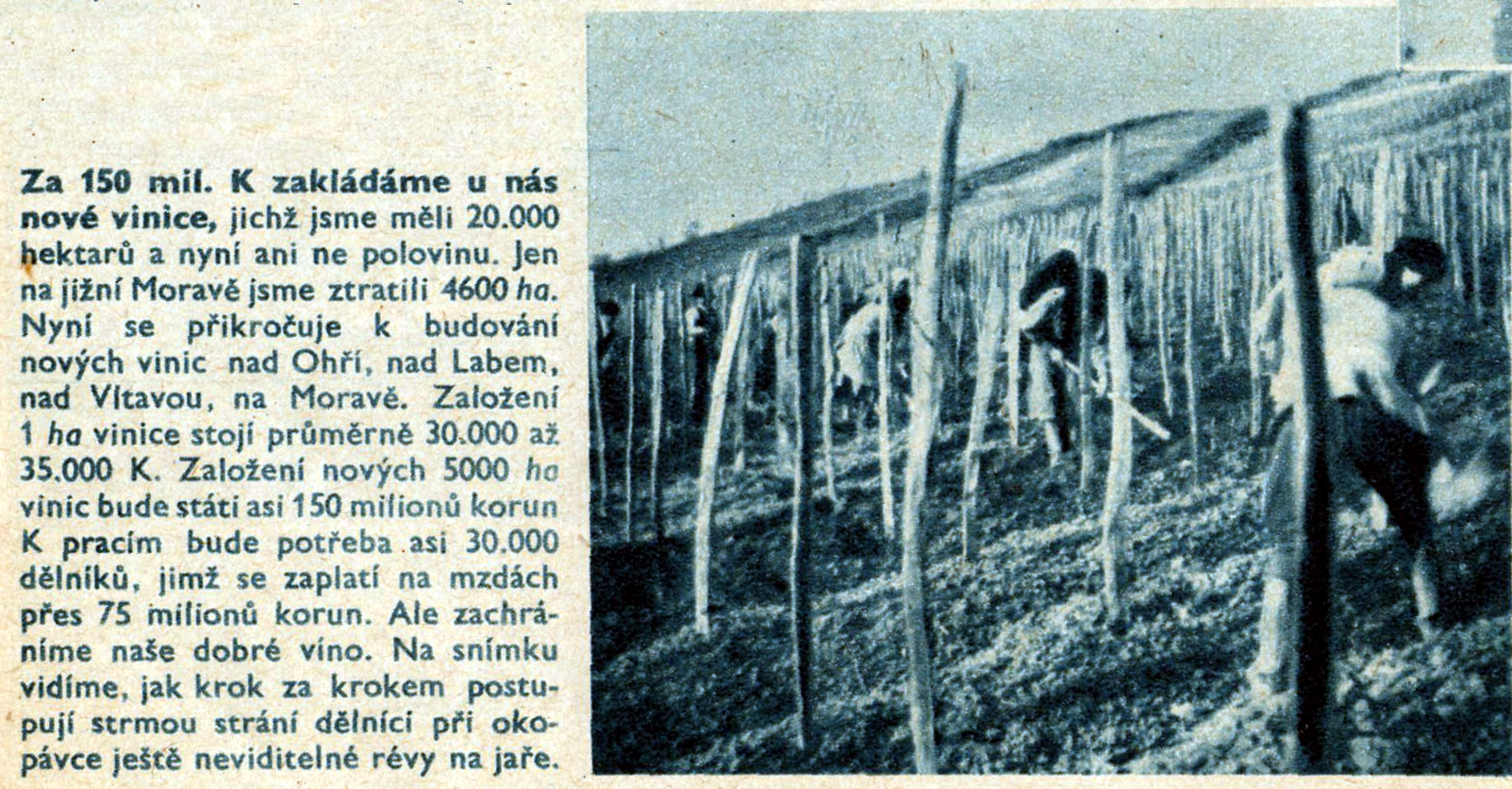 Obrázek #10 z 18