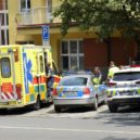 Zásah policistů proti exhibicionistovi - 7 P1220607