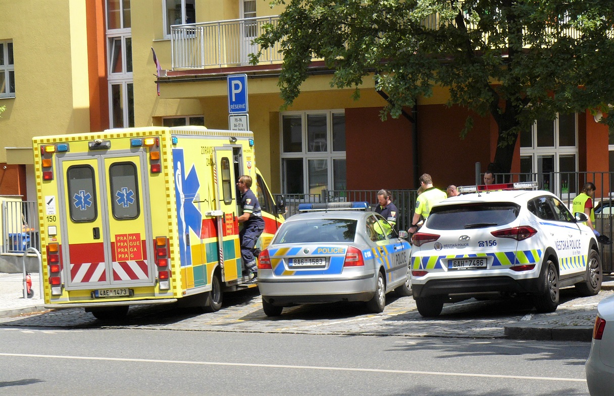 Obrázek #6 z 6