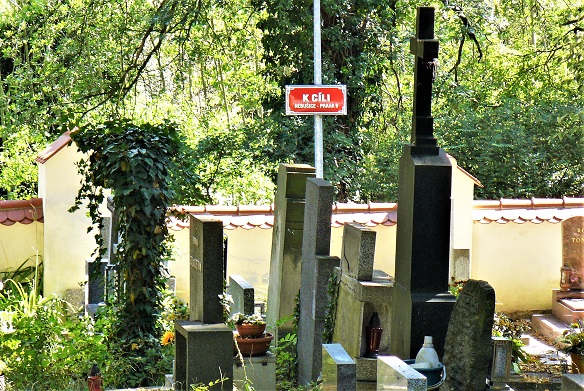 Obrázek #7 z 11