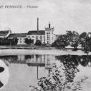 František Ringhoffer II. - 7 antikvariát pce