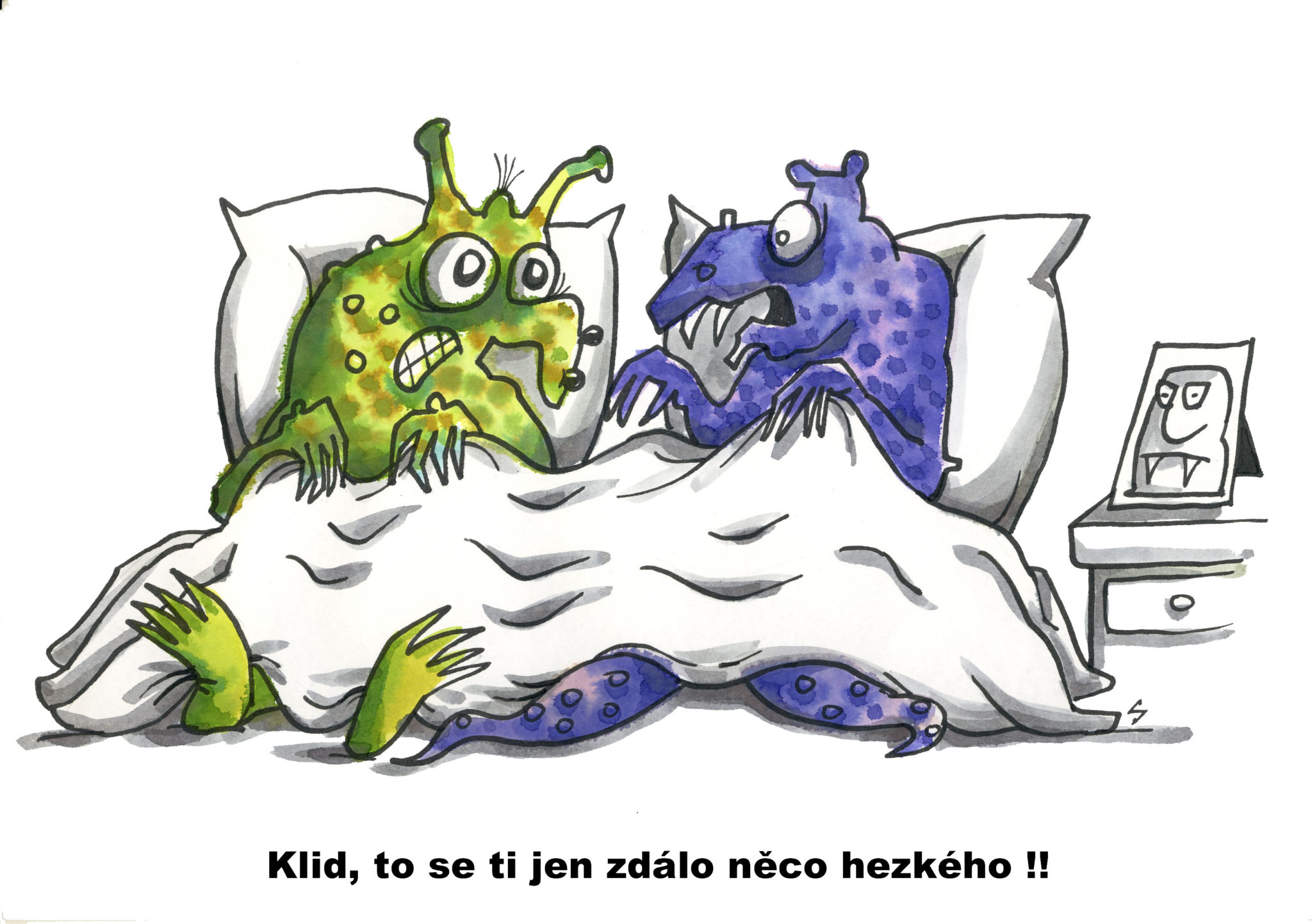 Obrázek #7 z 9