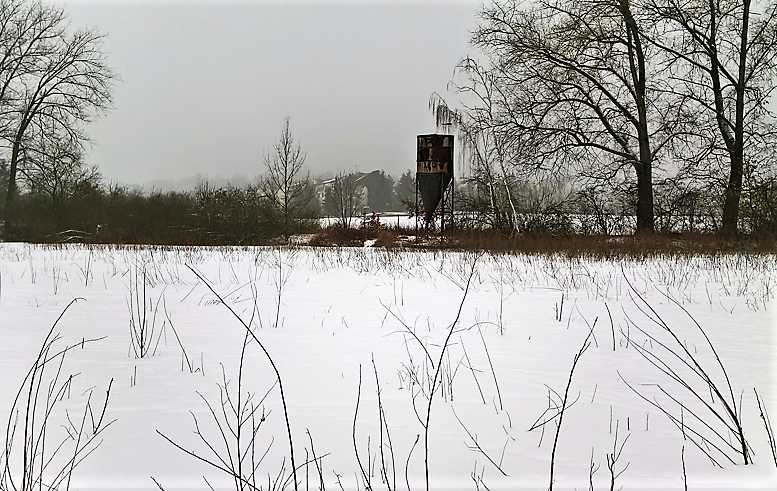Obrázek #8 z 10