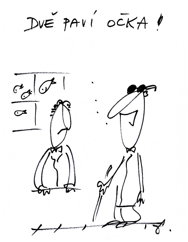 Obrázek #3 z 6