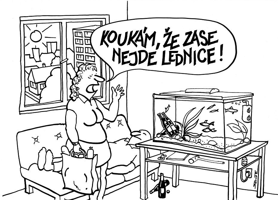 Obrázek #5 z 6