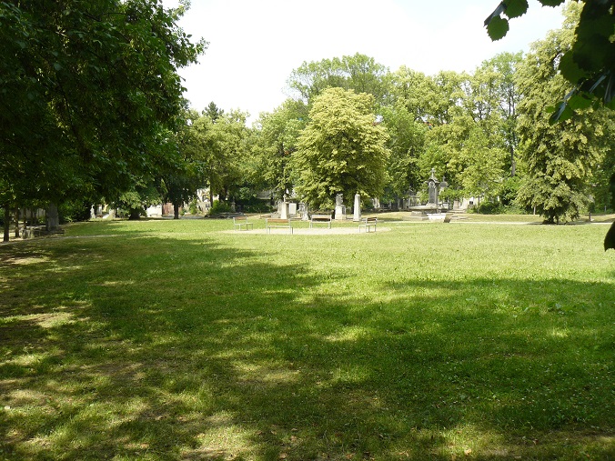 Obrázek #7 z 9