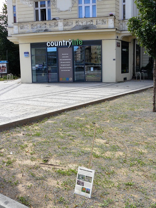 Obrázek #6 z 8