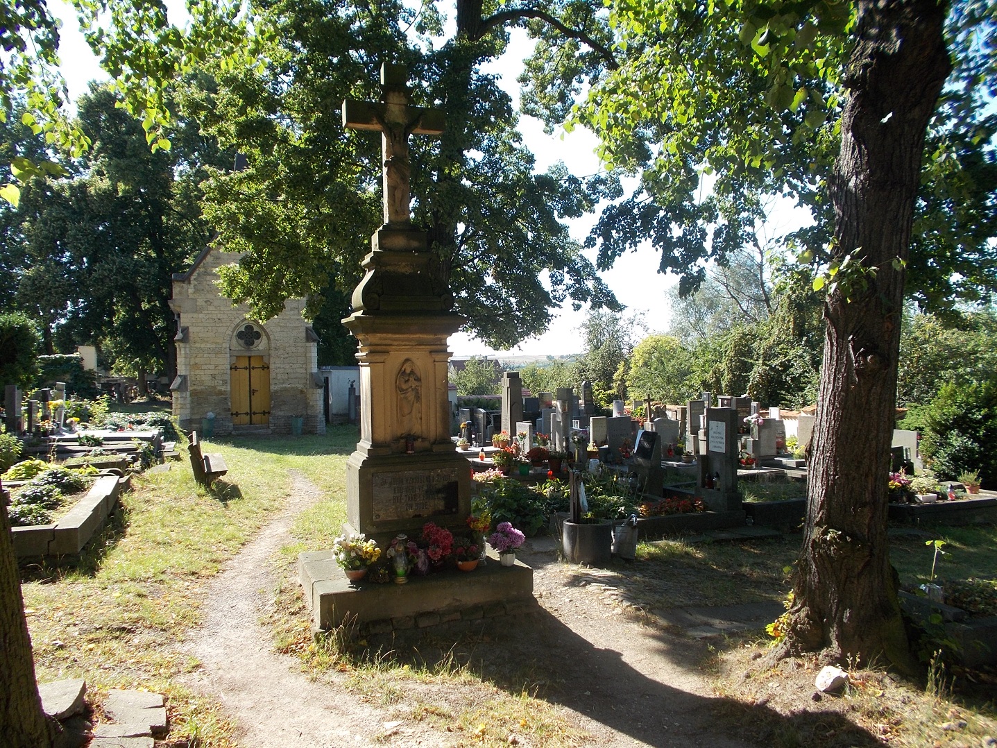 Obrázek #7 z 8