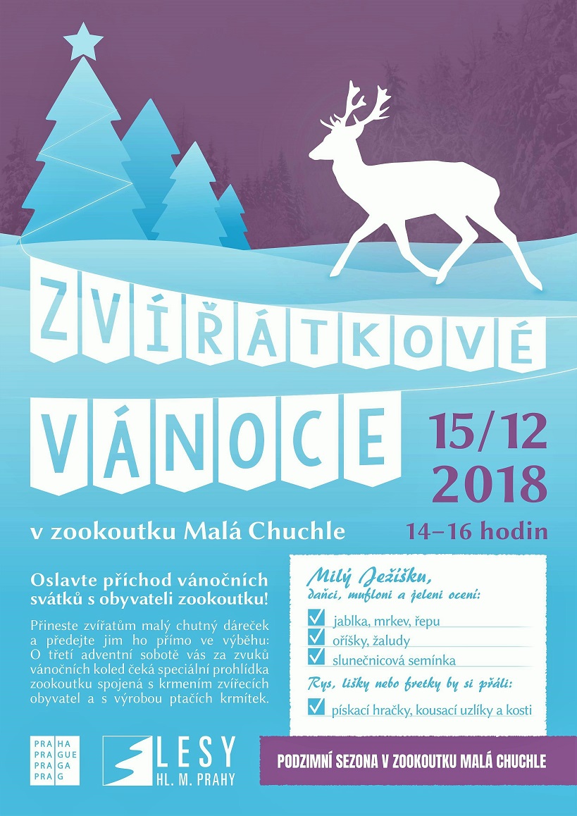 Obrázek #8 z 9