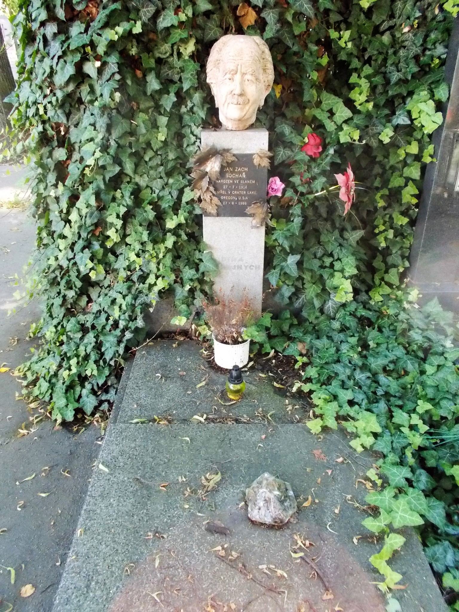 Obrázek #7 z 8