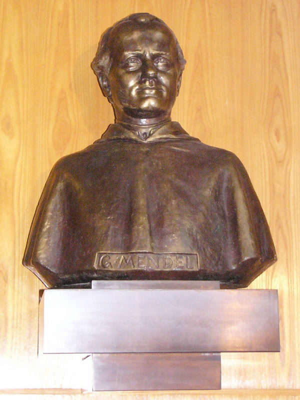 Obrázek #7 z 8