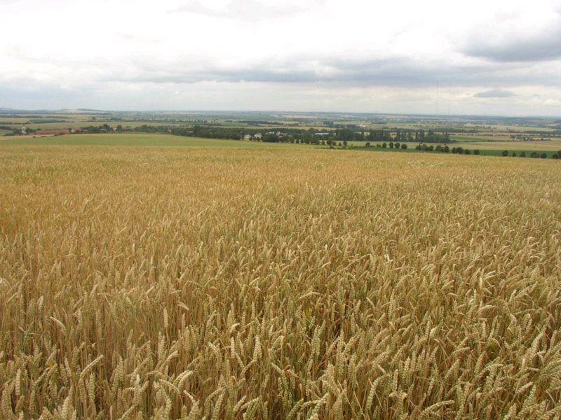 Obrázek #2 z 6