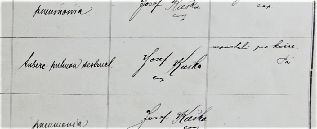 Obrázek #9 z 16