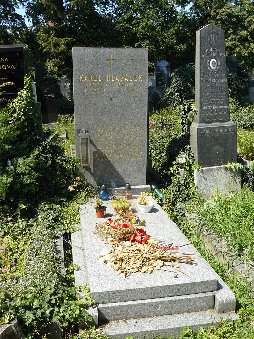 Obrázek #13 z 16