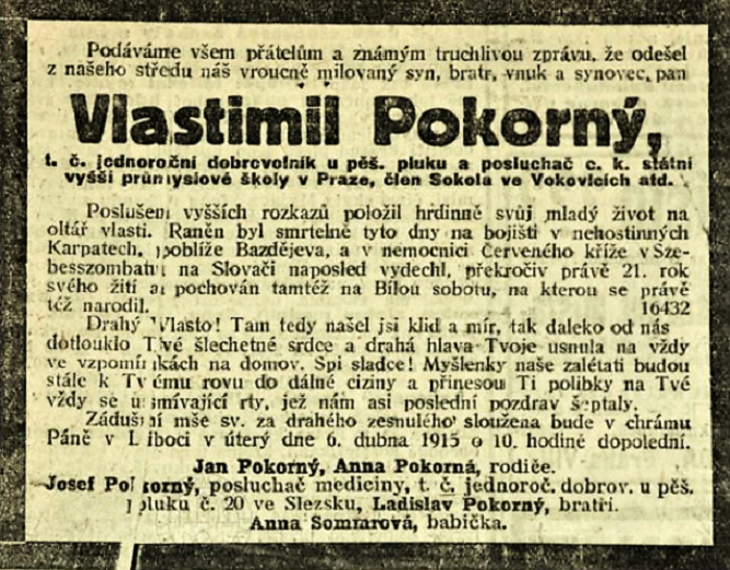 Obrázek #10 z 12